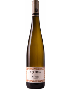 A.J. Adam Dhron Hofberg Kabinett Riesling 2022