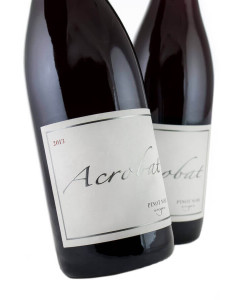 Acrobat Pinot Noir 2022