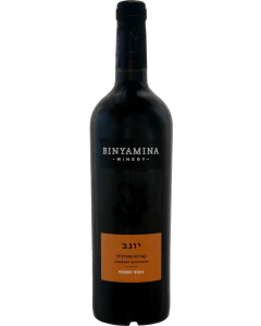 Binyamina Yogev Cabernet Sauvignon Non-Mevushal 2021