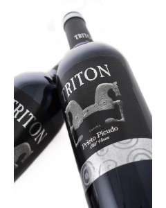 Bodegas Triton Prieto Picudo 2008