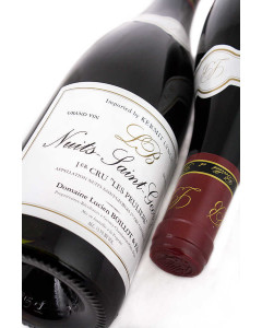 Domaine Lucien Boillot & Fils Nuits-Saint-Georges 1er Cru Les Pruliers 2020