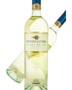 Fontana Candida Pinot Grigio delle Venezie IGT 2013